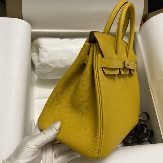 Replica Hermes Birkin 25 Togo Leather Bag