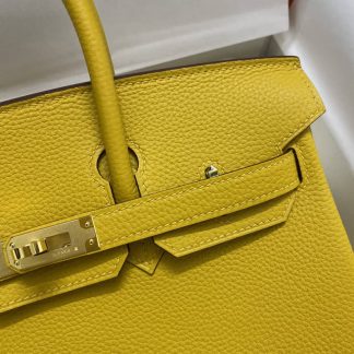 Replica Hermes Birkin 25 Togo Leather Bag